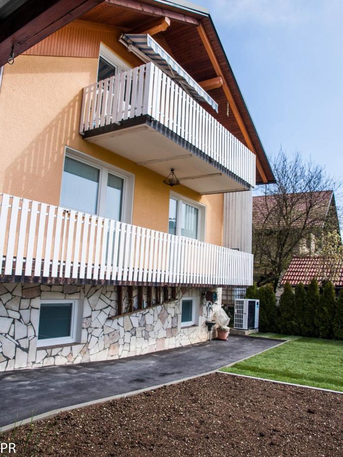 Activity Radomlje