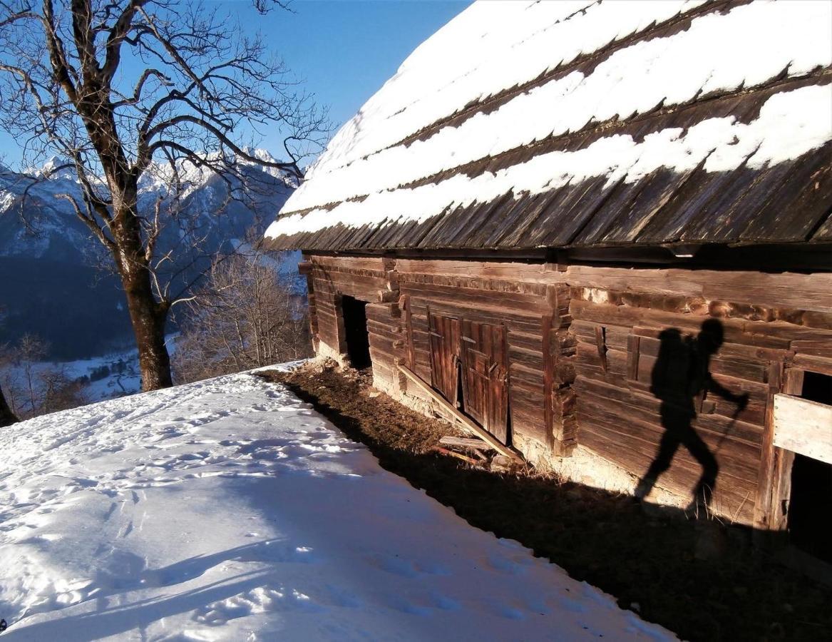 Activity * Radomlje